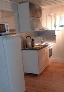 比尔克兰Granheim Hytte med 2 soverom的厨房配有水槽和冰箱