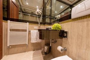 威尼斯艺术套房公寓的一间带卫生间、水槽和镜子的浴室