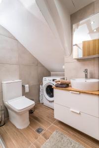 皮特斯迪亚Garconniere Sonja的浴室配有卫生间、盥洗盆和洗衣机。