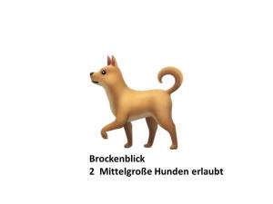 StiegeSchloss Stiege的一只玩具狗,上面写着“布罗克菲尔德”的奇迹