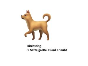 StiegeSchloss Stiege的一只玩具狗,用词攻击i复数猎犬地震