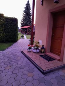 利托斯基简Privat Mária的两棵盆栽植物的房子的前门