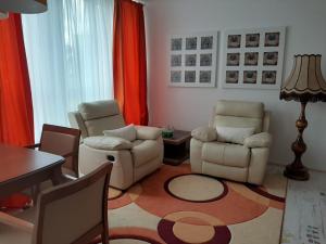 霍穆托夫Žlutý apartmán A6 v Chomutově的客厅配有两把椅子和一张桌子