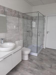 霍穆托夫Žlutý apartmán A6 v Chomutově的带淋浴、卫生间和盥洗盆的浴室