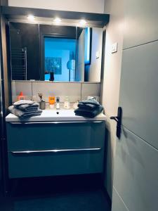 圣埃尔布兰Jolie Maisonnette Studio的浴室设有蓝色水槽和镜子