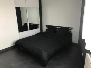 圣埃尔布兰Jolie Maisonnette Studio的一间卧室配有一张带两面镜子的黑色床