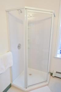 西沃德Brown & Hawkins Historical Apartments的浴室里设有玻璃门淋浴