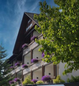 维林根Landhotel Henkenhof Willingen的窗户上有紫色花的建筑