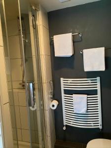 VogelenzangAppartement Bos en Duin的带淋浴和墙上毛巾的浴室
