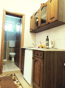 乌尔齐尼德约科维奇公寓酒店的一间带水槽和卫生间的小厨房