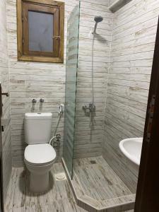 达哈布Penguin Village Dahab的浴室配有卫生间、淋浴和盥洗盆。