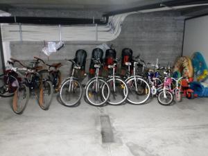皮特拉利古勒维勒公寓的停放在车库里的一捆自行车