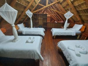 ChizavaneEast Africa Safaris的一间设有三张床的客房,里面装有猫