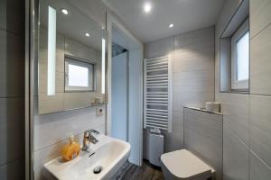 奥茨塞巴德·迪尔哈根Haus Windhook的一间带水槽、卫生间和镜子的浴室