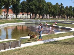 通厄伦Villa Domus XIX的一个人在喷泉前走狗