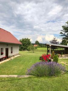 Horní PasekaOld Style Cottage的一座带房子的院子和一座鲜花盛开的花园