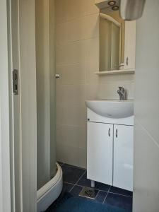 苏博蒂察Centar的浴室设有白色水槽和镜子