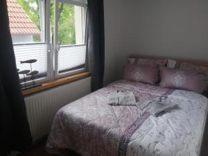 WettinFerienhaus Zur alten Schleuse的一间卧室设有一张床和一个窗口