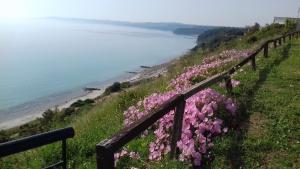 阿菲托斯Aegean Blue Studios的海滩旁的粉红色花 ⁇ 