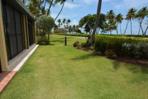 乌马考Beach Villa 215的一座种有草和棕榈树的院子和一座房子