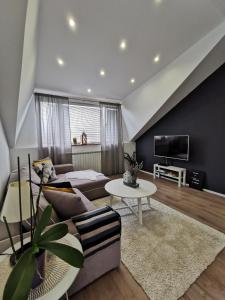 格拉博瓦茨极乐世界公寓 的带沙发和电视的客厅