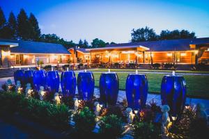 纳帕Bann at Oak Knoll Napa的夜晚在花园里的一排蓝色花瓶