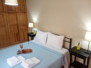 科尼察Small Town Apartment的一间卧室配有蓝色的床和毛巾