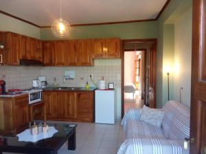 科尼察Small Town Apartment的厨房配有木制橱柜和白色冰箱。