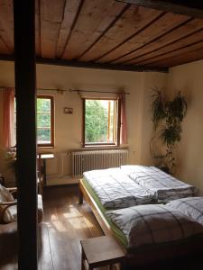 捷克克鲁姆洛夫Hostelskippy的一间卧室设有一张大床和一个窗户。
