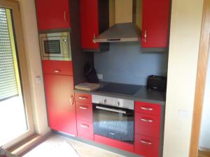 锡根Ferienwohnung Carmen的一间带红色橱柜和炉灶的厨房