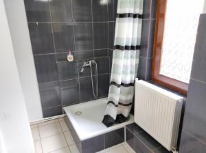 上维谢乌Casa Toth din Țipțerai的带浴缸和淋浴帘的浴室