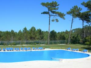 圣佩罗德姆Parque De Campismo Orbitur Sao Pedro De Moel的一个带躺椅和树木的大型游泳池
