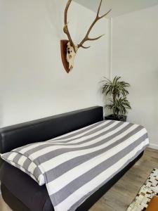 阿姆斯特丹Jordaan Canal View Apartment的一张带黑白条纹毯子的床
