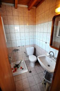 斯达林亚历山德罗酒店的一间带卫生间和水槽的浴室