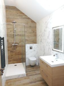 迪耶普Villa Carlotta - Sea resort的带淋浴、卫生间和盥洗盆的浴室