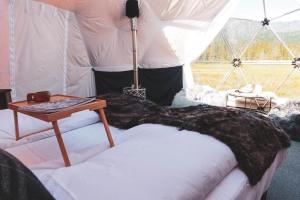 海姆瑟达尔Dyrja Domes的带帐篷、床和桌子的客房