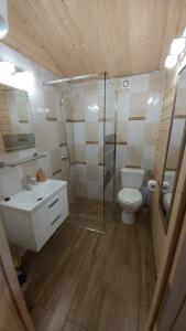 切霍齐内克APARTAMENT DOMEK CAŁOROCZNY的浴室配有卫生间、淋浴和盥洗盆。
