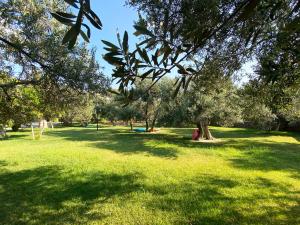 贝拉姆卡尔阿索斯公园酒店的公园里绿草如茵,树木繁茂