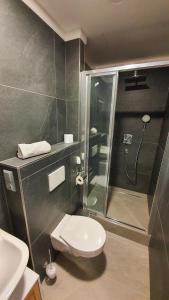 比尔森Magic Apartment centre Pilsen的带淋浴、卫生间和盥洗盆的浴室