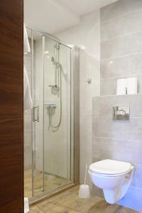 姆拉哥沃Apartamenty CityCenter的带淋浴和卫生间的浴室
