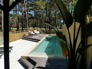 沙尔内卡My Holiday Home - Aroeira Golf & Beach的后院的游泳池,种植了盆栽植物