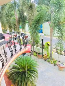 贾夫纳Senthil Complex的享有棕榈树阳台的顶部景色