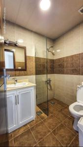卜舍里里奥格轮酒店的带淋浴、盥洗盆和卫生间的浴室