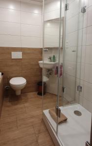 MindelstettenLandgasthof Braun的带淋浴、卫生间和盥洗盆的浴室