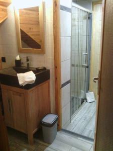 布拉芒Location Vanoise的带淋浴、盥洗盆和卫生间的浴室
