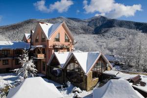 古泽尔普尔阿巴格酒店的山底下雪中的房子