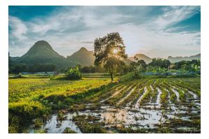 宁平An Thái Homestay and Bar的山地,有树和山地