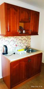 艾格扎洛克可哈利旅馆的一个带木制橱柜和水槽的厨房