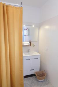 卡帕里卡海岸Maria Tereza Sea Villa的一间带水槽和淋浴帘的浴室