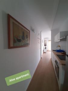 Apartments Alcalá Tenerife - Aloe & Cactus的厨房或小厨房